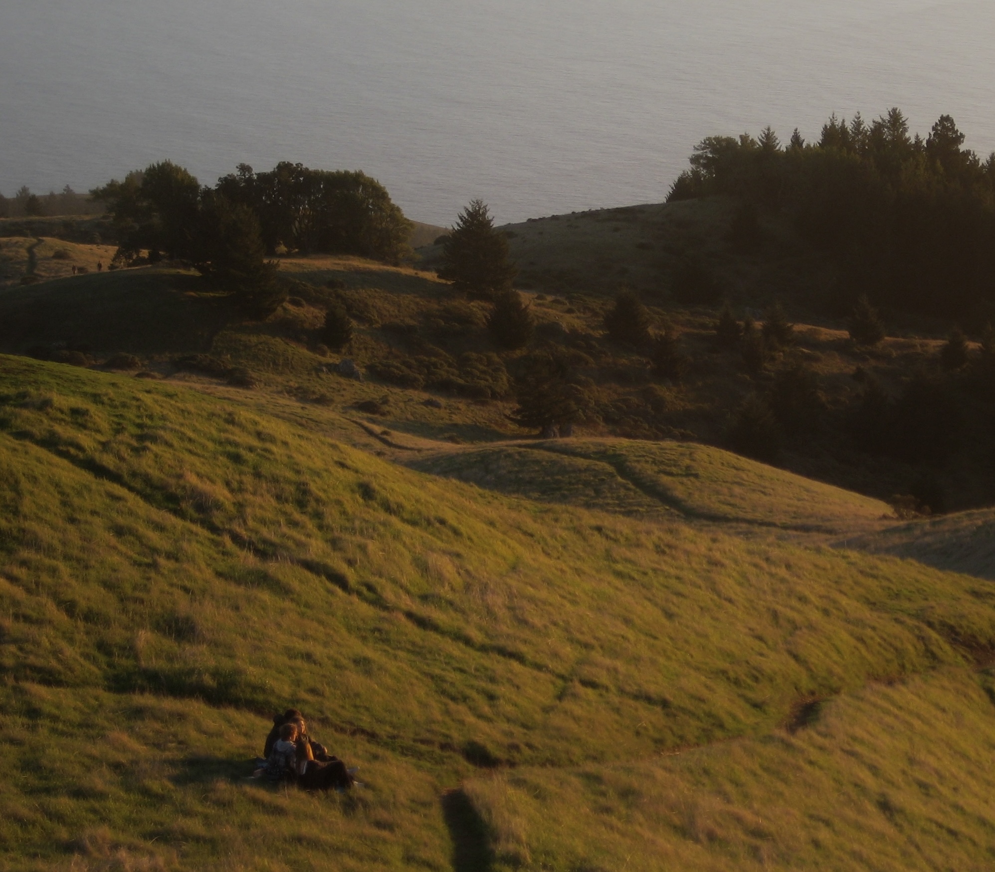 mt tam